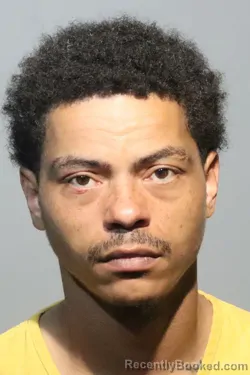 Mugshot of MICHAEL ANTHONY ROBINSON