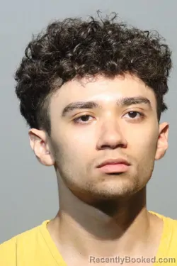 Mugshot of ALEXANDER DION ZSCHUSSCHEN