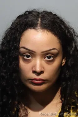 Mugshot of GENESIS Y TORRES