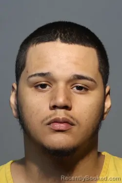 Mugshot of JAMIL SERRANO