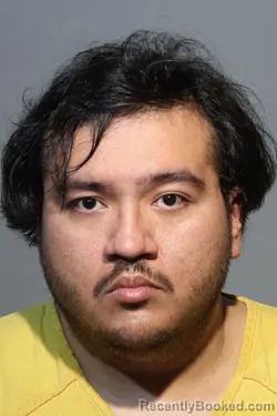 Mugshot of LUIS DAVID CABRERA-AGUILAR