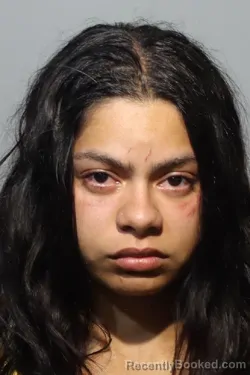 Mugshot of YARIELIS RIVERA DE JESUS