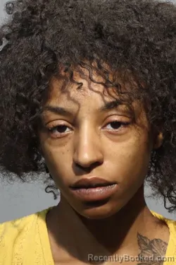 Mugshot of BRIANNAH STAPLETON booked in Seminole County, Florida on April 4, 2026