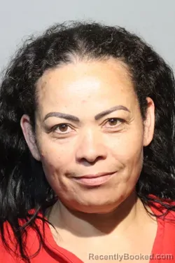 Mugshot of IRIS YANETH VILLAFRANCA booked in Seminole County, Florida on April 16, 2026