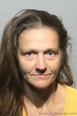 Mugshot of HEATHER MARIE QUINN booked in Seminole County, Florida on April 25, 2026