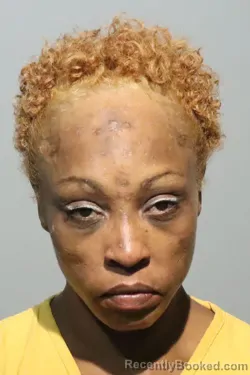 Mugshot of NATASHIA LEANA ROUSE booked in Seminole County, Florida on April 26, 2026