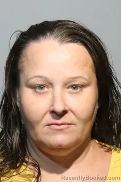 Mugshot of LORRAIN ELIZABETH SILVERNAIL booked in Seminole County, Florida on April 26, 2026