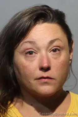 Mugshot of CHRISTINA ANN HAZEN booked in Seminole County, Florida on April 28, 2026