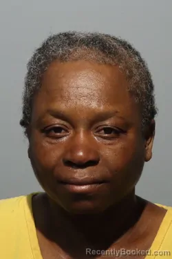 Mugshot of YOLETTE SAINT LOUIS booked in Seminole County, Florida on April 28, 2026