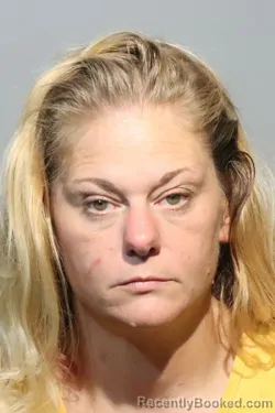 Mugshot of JUNE L THOMPSON booked in Seminole County, Florida on April 30, 2026