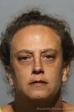 Mugshot of REBECCA ANN JOHNSON booked in Seminole County, Florida on May 2, 2026