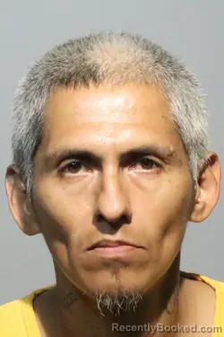 Mugshot of HENRRY VEINTIMILLA GONZALEZ booked in Seminole County, Florida on May 4, 2026
