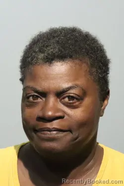 Mugshot of DONNA MICHELLE HUDSON booked in Seminole County, Florida on May 4, 2026