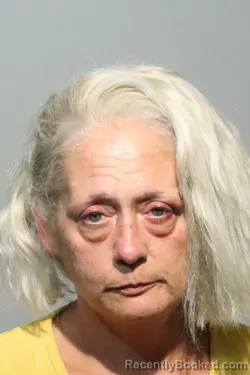 Mugshot of DINA KATHLEEN LARSON booked in Seminole County, Florida on May 4, 2026