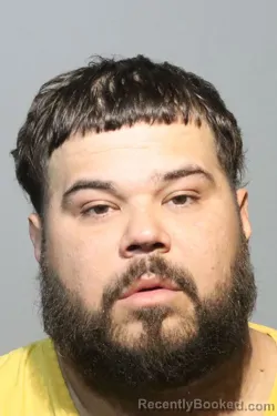 Mugshot of ELVIS JAVIER HERNANDEZ booked in Seminole County, Florida on May 5, 2026