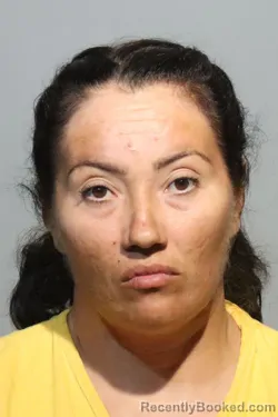 Mugshot of CANDELARIA NIETO SANCHEZ booked in Seminole County, Florida on May 5, 2026