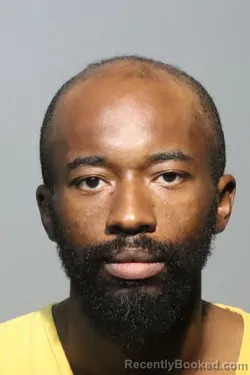 Mugshot of CHRISTIAN CHUKWUJEKWU NWANKWO booked in Seminole County, Florida on May 8, 2026