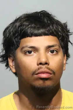 Mugshot of CARLOS FERNANDO ROMERO ANDINO booked in Seminole County, Florida on May 8, 2026