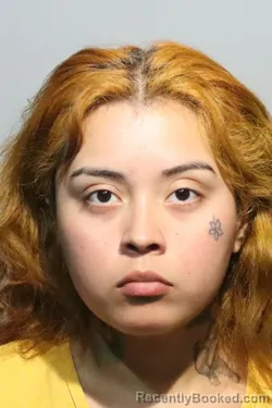 Mugshot of STEPHANIE JOHANA MORAZAN booked in Seminole County, Florida on May 8, 2026