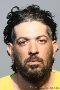 Mugshot of SHALEV Y COLLADO-GUILLIANI booked in Seminole County, Florida on May 10, 2026
