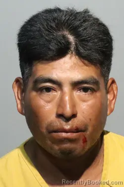Mugshot of CUSTODIO GARCIA AMBROCIO booked in Seminole County, Florida on May 10, 2026