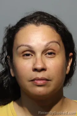 Mugshot of ALMA SANTIAGO booked in Seminole County, Florida on May 11, 2026