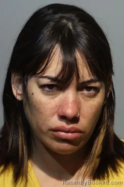 Mugshot of KRISTAL GONZALEZ booked in Seminole County, Florida on May 12, 2026
