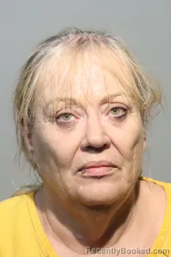 Mugshot of LORI JANE WILDMAN booked in Seminole County, Florida on May 27, 2026