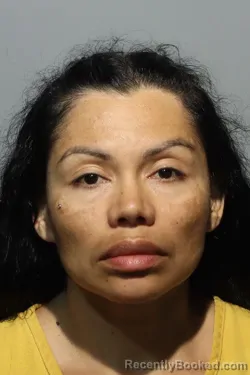 Mugshot of MARIA DEJESUS ELIZONDO-ZUNIGA booked in Seminole County, Florida on June 4, 2026