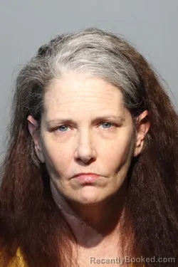 Mugshot of MICHELE MARIE FERGUSON booked in Seminole County, Florida on June 8, 2026