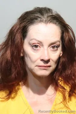 Mugshot of JEANETTE HELEN FONSECA booked in Seminole County, Florida on June 15, 2026