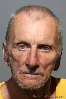 Mugshot of TERRY NEIL DAVIS booked in Seminole County, Florida on June 17, 2026