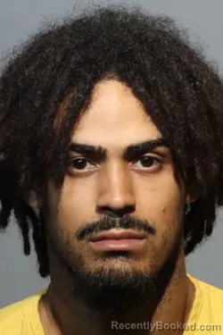 Mugshot of AMANNY DAVID HERNANDEZ booked in Seminole County, Florida on June 18, 2026
