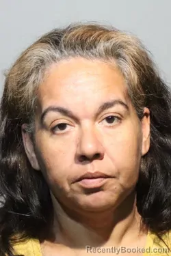 Mugshot of BETSY ANN DEJESUS booked in Seminole County, Florida on June 18, 2026