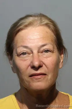 Mugshot of RAQUEL FERNANDEZ booked in Seminole County, Florida on June 19, 2026