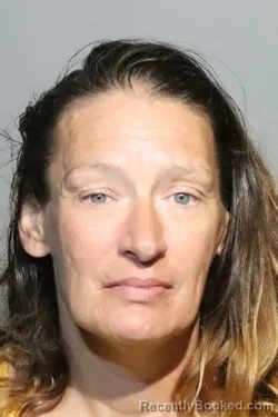 Mugshot of LANA N HOUSER booked in Seminole County, Florida on June 19, 2026