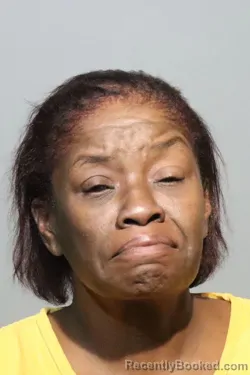 Mugshot of RENEE JACKSON booked in Seminole County, Florida on June 20, 2026