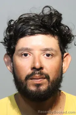 Mugshot of MELVIN ARIEL ORELLANA AGUILAR booked in Seminole County, Florida on June 21, 2026