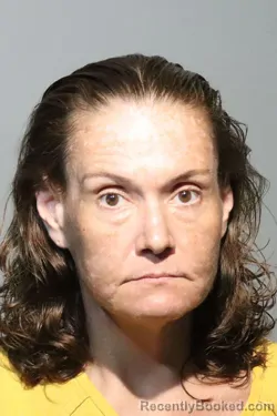 Mugshot of AMANDA CARROLL BURGESS booked in Seminole County, Florida on June 21, 2026