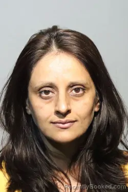 Mugshot of FOUZIA AKHTAR booked in Seminole County, Florida on June 21, 2026