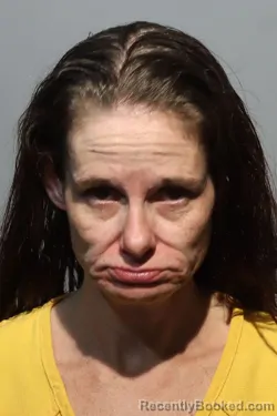 Mugshot of MANDY NICOLE SMITH booked in Seminole County, Florida on June 23, 2026