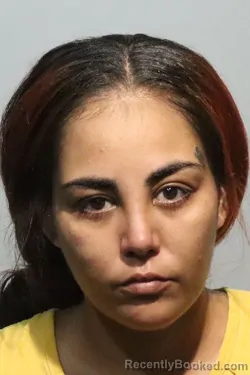 Mugshot of NAYRA LIZ CRUZ-ESTRADA booked in Seminole County, Florida on June 24, 2026