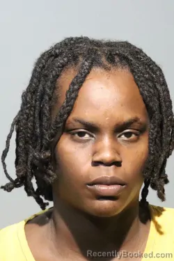 Mugshot of TAMEILA LASHAY WILSON booked in Seminole County, Florida on June 24, 2026