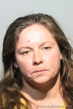 Mugshot of MEGAN ELIZABETH LEWIS booked in Seminole County, Florida on June 24, 2026