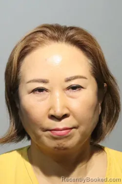 Mugshot of JINNAN LI booked in Seminole County, Florida on June 25, 2026