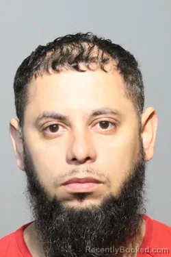 Mugshot of IDEQUIS RENNE GARCES SALAS booked in Seminole County, Florida on June 25, 2026