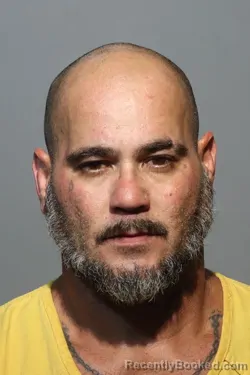 Mugshot of ANTHONY JOSEPH MCSHANE booked in Seminole County, Florida on June 26, 2026