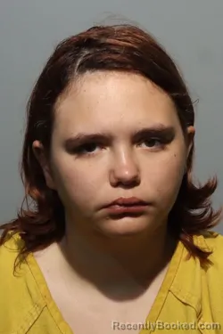 Mugshot of OLIVIA MEDINA booked in Seminole County, Florida on June 27, 2026