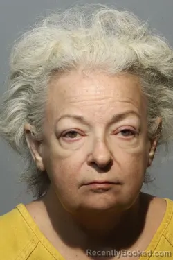 Mugshot of THERESA MARIE DUCKWORTH booked in Seminole County, Florida on June 27, 2026