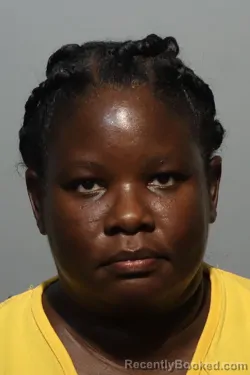 Mugshot of CAMILLE BROWN booked in Seminole County, Florida on June 28, 2026